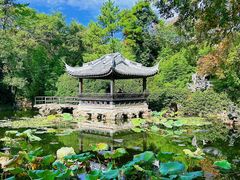 -无锡蠡湖国家湿地公园-蠡园