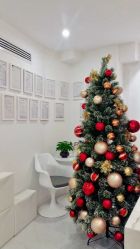 -紫御国际抗衰ZOE ANTI AGING