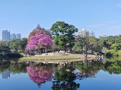 -四海公园(南山区)