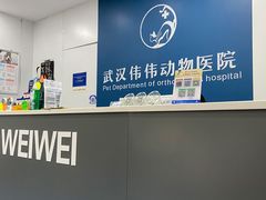 -伟伟宠物医院·CT影像中心·瑞派犬猫综合性门诊(汉口总院)