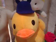 -纯K(打浦桥店)
