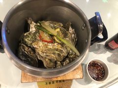 高压锅生蚝-拉完海鲜大排档(温岭店)