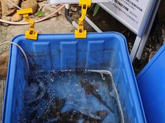 -桃姐农庄老字号(从化温泉店)