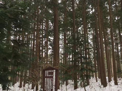 -札幌电视塔