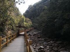 -九龙江国家森林公园