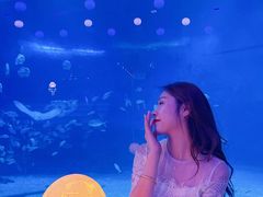 -烟台海昌鲸鲨海洋公园