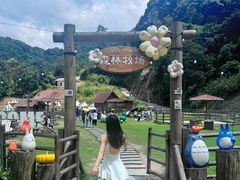 -龙岩森林水乡景区