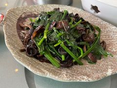 -新粤新疆菜(禅城店)
