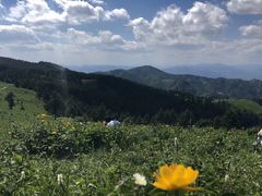 -驼梁风景区