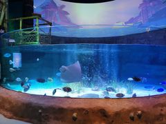 -沈阳海洋探索中心