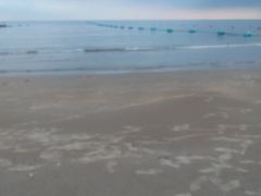 -北戴河东海水浴场