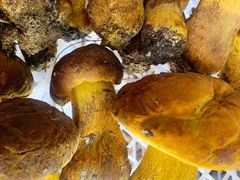 -双喜农庄·菌香园(安居家园店)