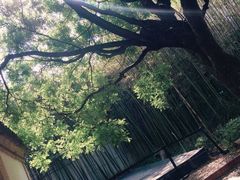 -茶肆(袁家村店)