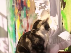 -一品格美术·中考高中成人美术培训