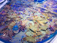 -澜悦港海鲜体验主题餐厅