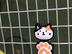 -快网网球俱乐部(长宁区金桥花园球场)