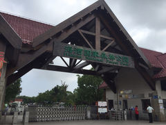 -上海海湾国家森林公园
