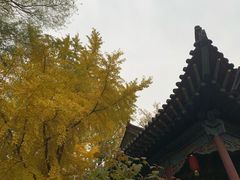 -晋祠公园