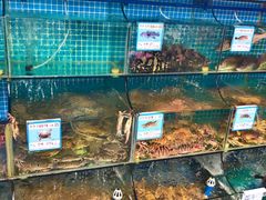 菜单-范饭椰林川湘味海鲜·椰子鸡(三亚湾椰梦长廊店)