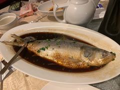 -喜来登由由大酒店九州膳坊中餐厅