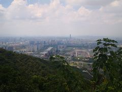 -杭州半山国家森林公园