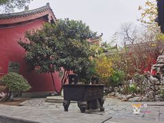 -长春观