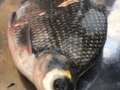 -魏公馆(昆太路店)