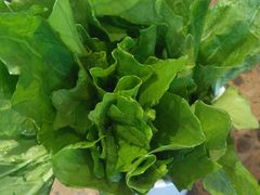 -小龙坎老火锅(北京三里屯店)