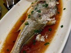 -全聚德(上海首店浦东店)