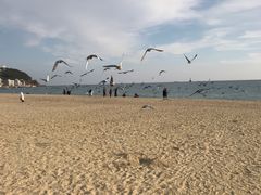 -海云台海滩