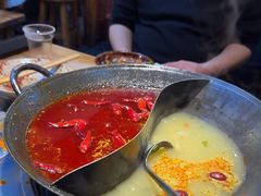 -阳阳老火锅(小南门店)