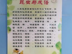 -上海昆虫博物馆