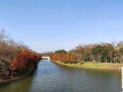 -上海海湾国家森林公园