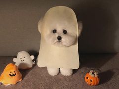 -JOYBOX盒里(南湖天地店)