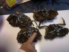 -乡乐园蟹庄·阳澄湖农家乐