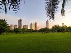 -万绿园
