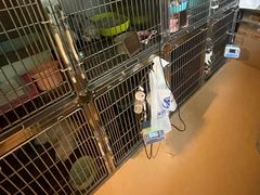 -瑞派·关忠动物医院(国瑞店)