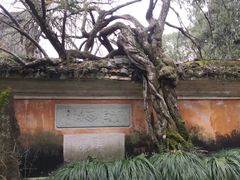 -天台山景区