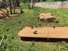 -海南热带野生动植物园