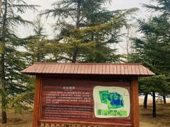 -大兴滨河森林公园