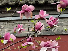 -西安市广仁寺