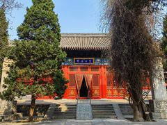 -北京艺术博物馆(万寿寺)