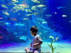 -沈阳海洋探索中心