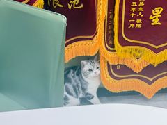 -悦宠动物医院(京丰分院)