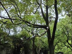 -西园戒幢律寺