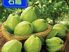 -新鸿港水果市场