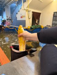 -巡鱼道·室内垂钓·渔具店