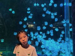-深圳湾公园(南山区)