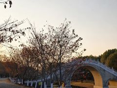 -上海海湾国家森林公园