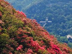 -木兰云雾山